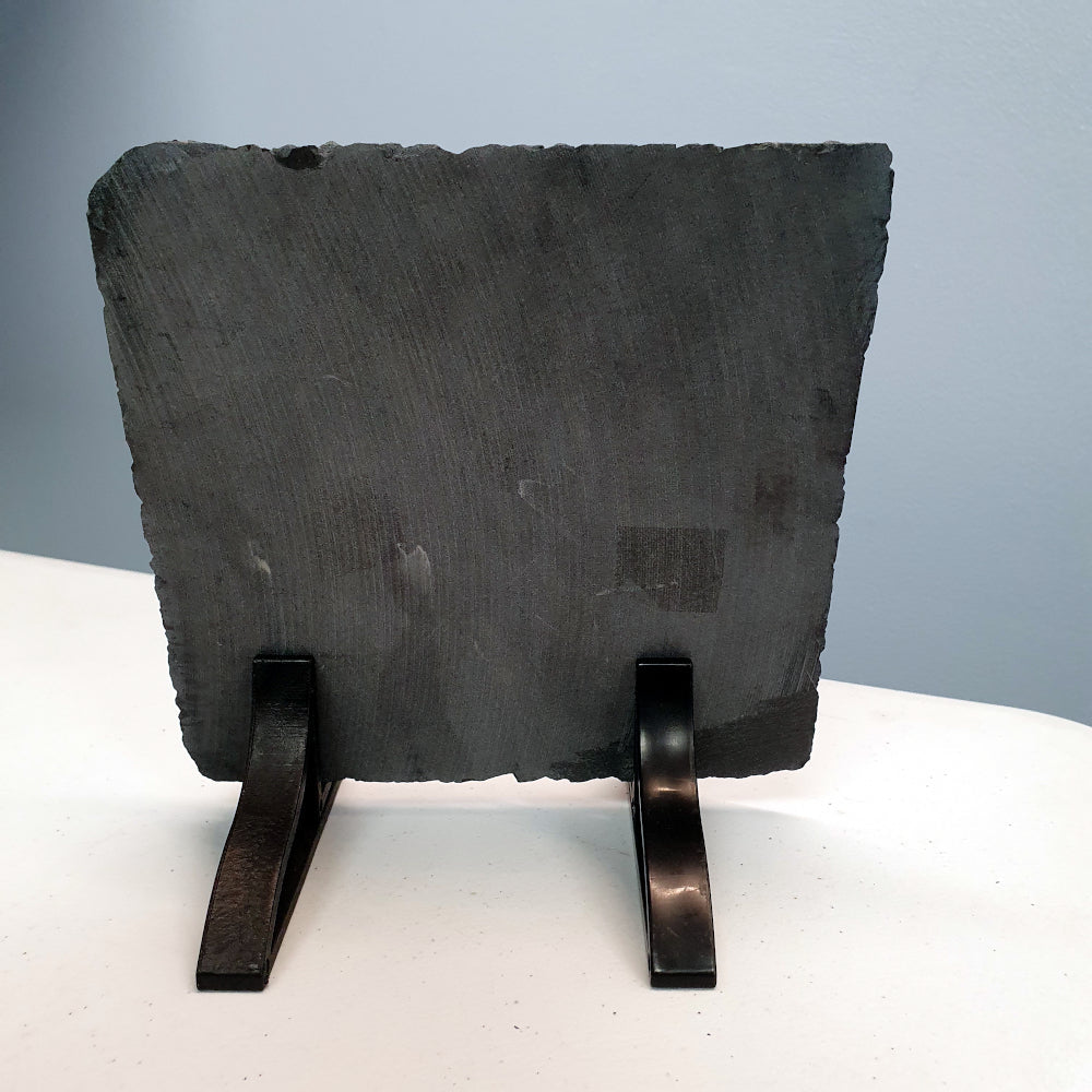 Rainbow Themed Photo Memorial Slate Pet Dog Cherished Thoughts Of You Will Last Forever - Perham Prints