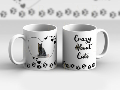 Black Cat Crazy About Cats Cup Mug