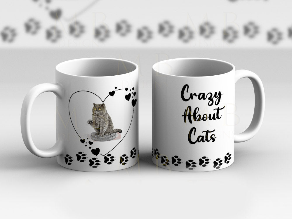 Grey Fluffy Cat Crazy About Cats Cup Mug - Perham Prints