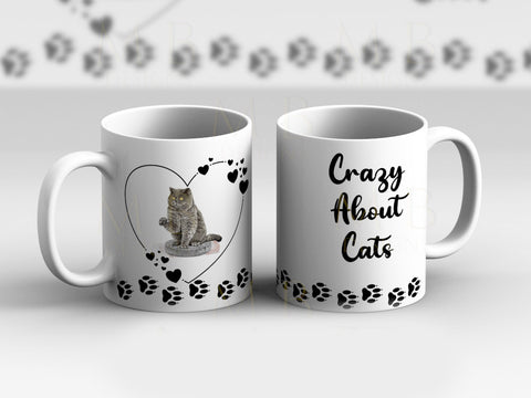 Grey Fluffy Cat Crazy About Cats Cup Mug