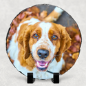 Personalised Photo Picture Of Your Choice Slate - Circle - 1