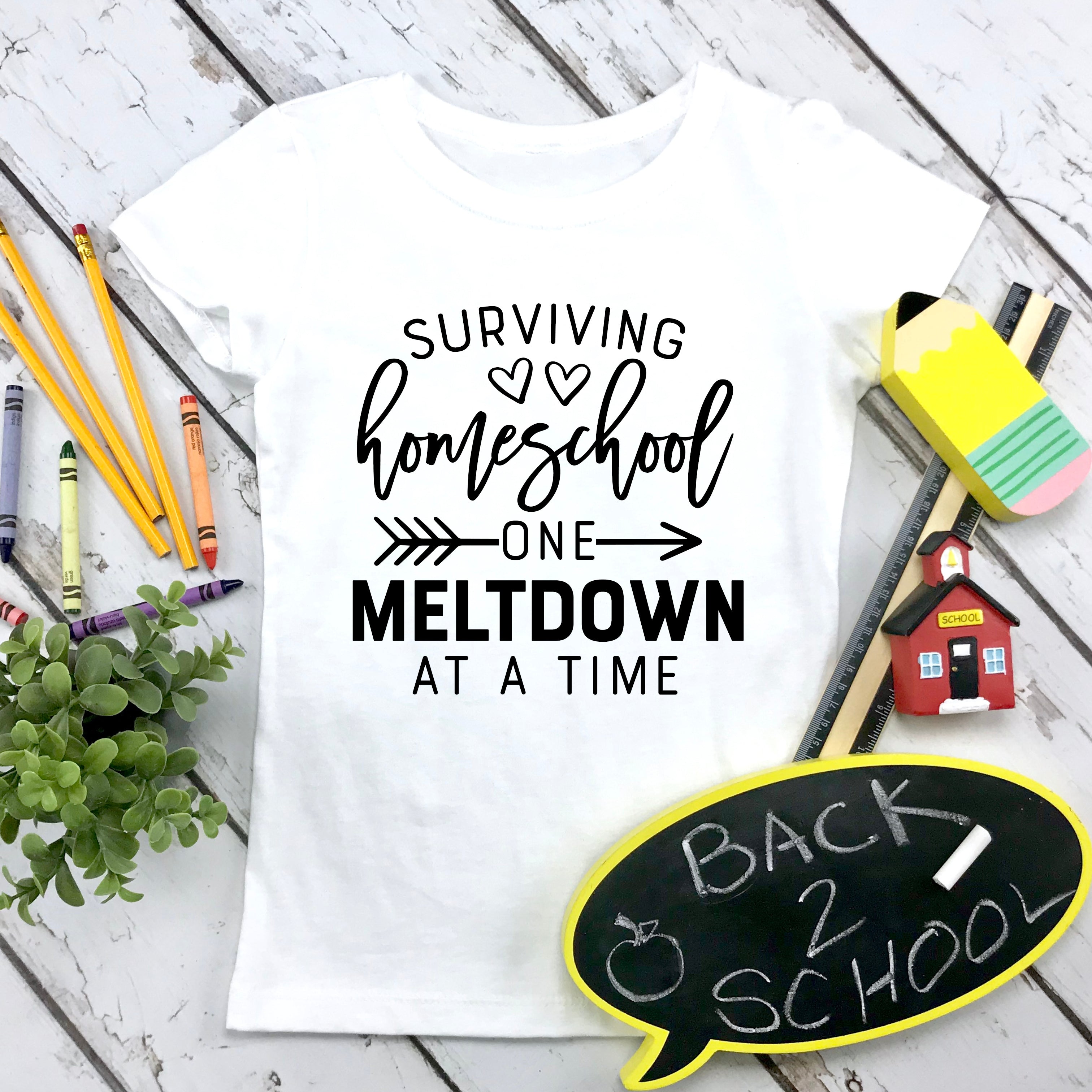 Surviving Homeschool One Meltdown At A Time Custom Gildan Tshirt